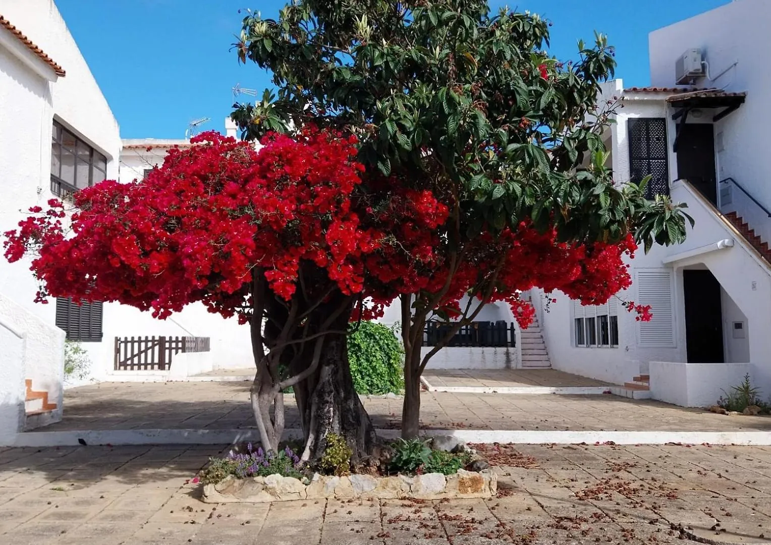 Studio Pedras D'El Rei Apartamento Santa Luzia  Portugal